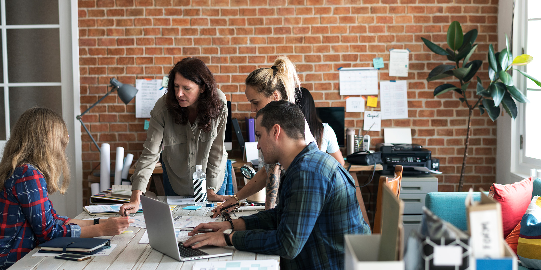 About-Mentor-Albania